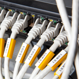 PP+046CP30 - Custom Printed 30mm Insert Tag, 100 Piece Pack