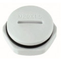 Nylon Blanking Plugs